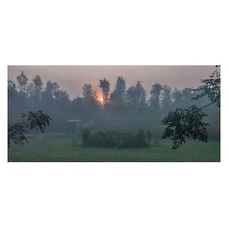 The Horse & Chariot Hotell Madikeri Exteriör bild
